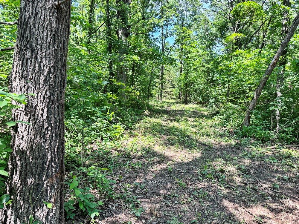 Tbd3 East 1550 Road Jerico Springs, MO 64756 - Photo 11 of 42