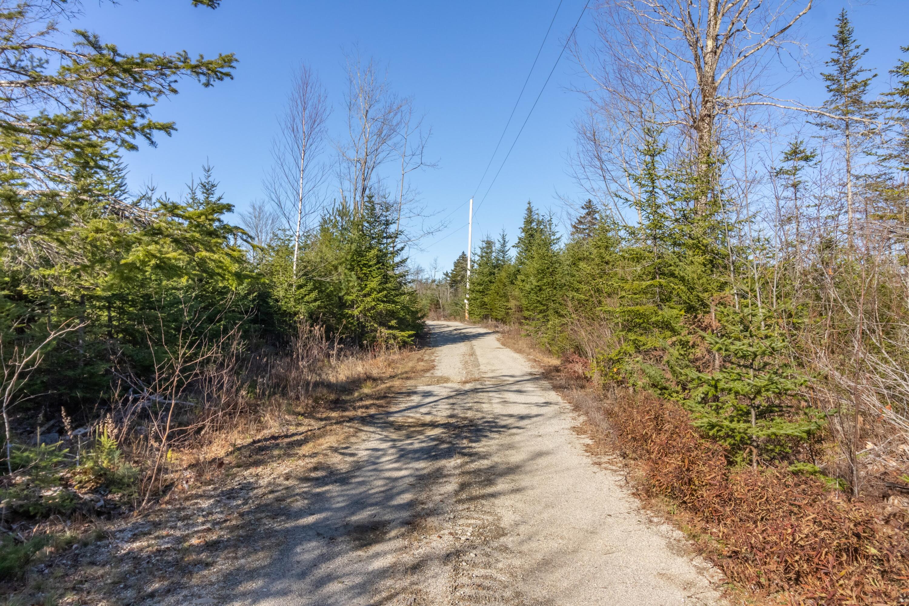 29-52a Ellsworth Road Blue Hill, ME 04614 - Photo 11 of 12 50 Acres