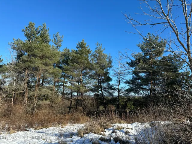 a view of a yard with wooden fence