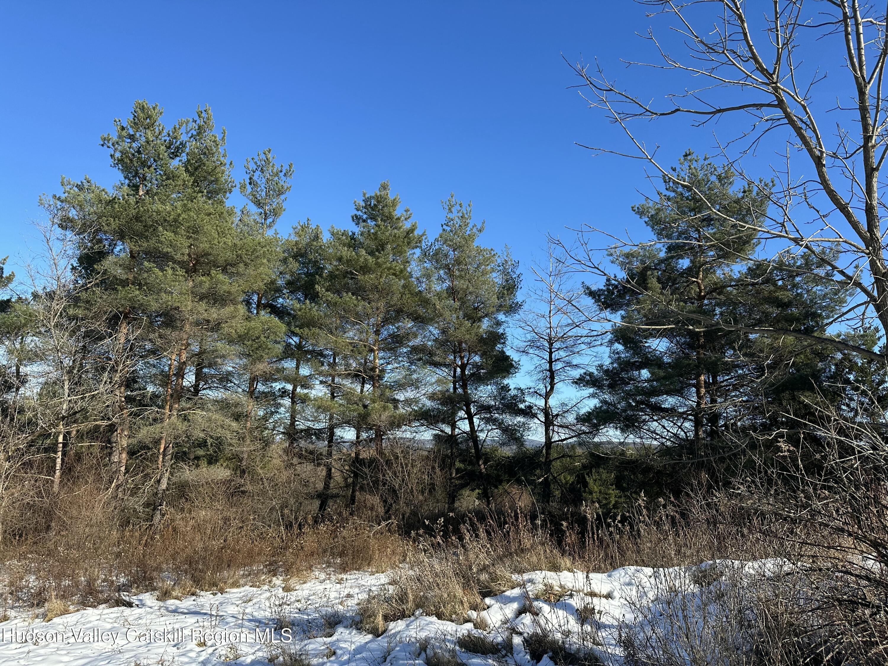 11 Dunbar Road Hudson, NY 12534 - Photo 24 of 29 Property