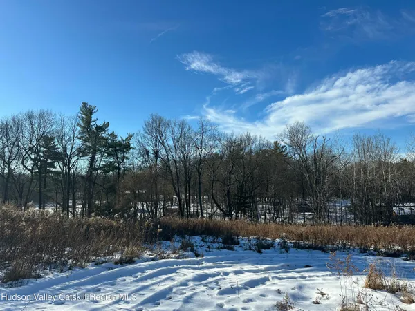 a view of outdoor space and tree