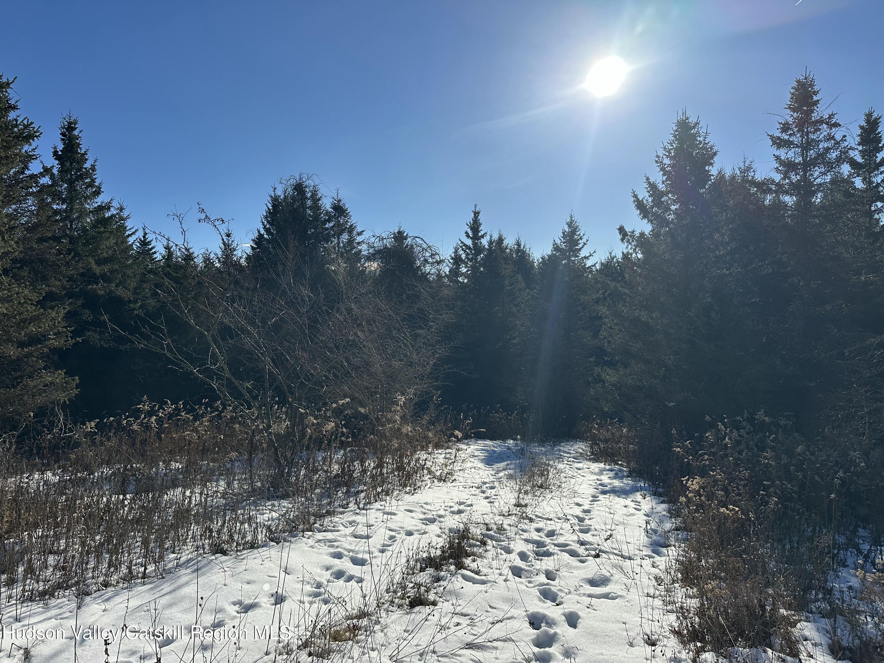 11 Dunbar Road Hudson, NY 12534 - Photo 29 of 29 Property