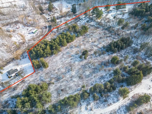 a view of a lot of trees with some trees