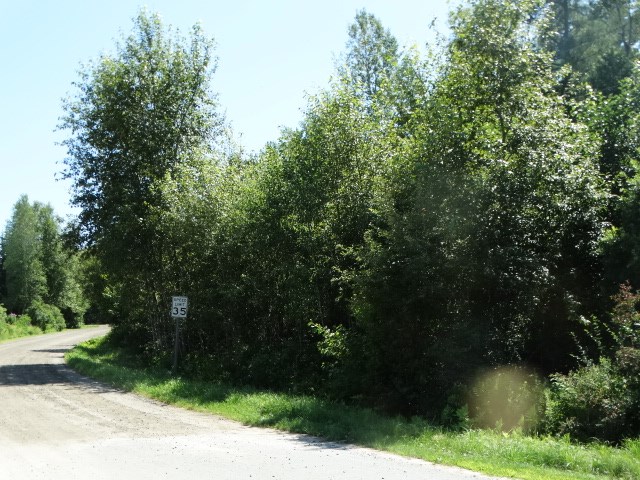0 Williams Road Morgan, VT 05853 - Photo 2 of 3