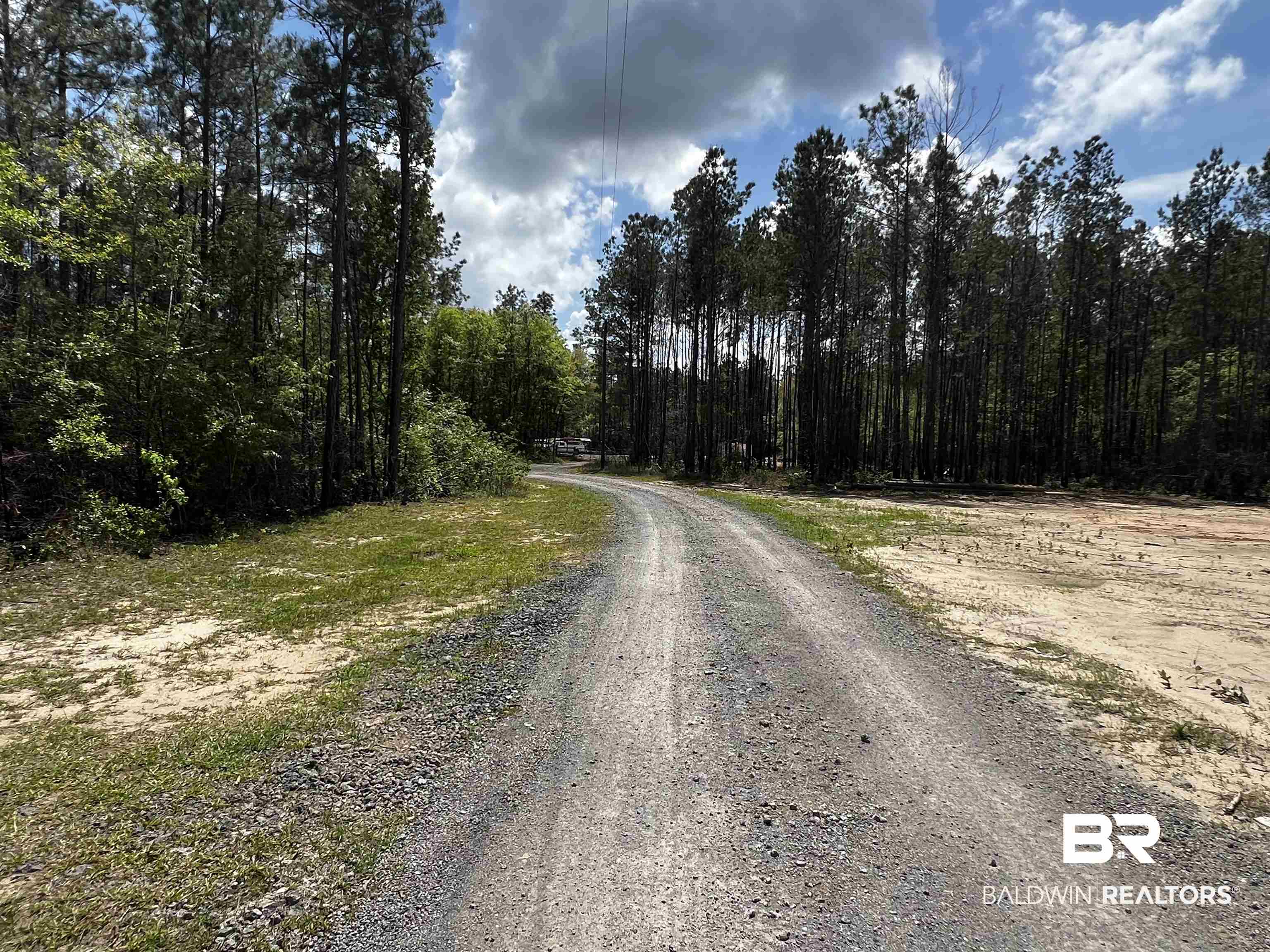 0 Salco Road Axis, AL 36505 - Photo 23 of 24 View of dirt / gravel road with a view of trees