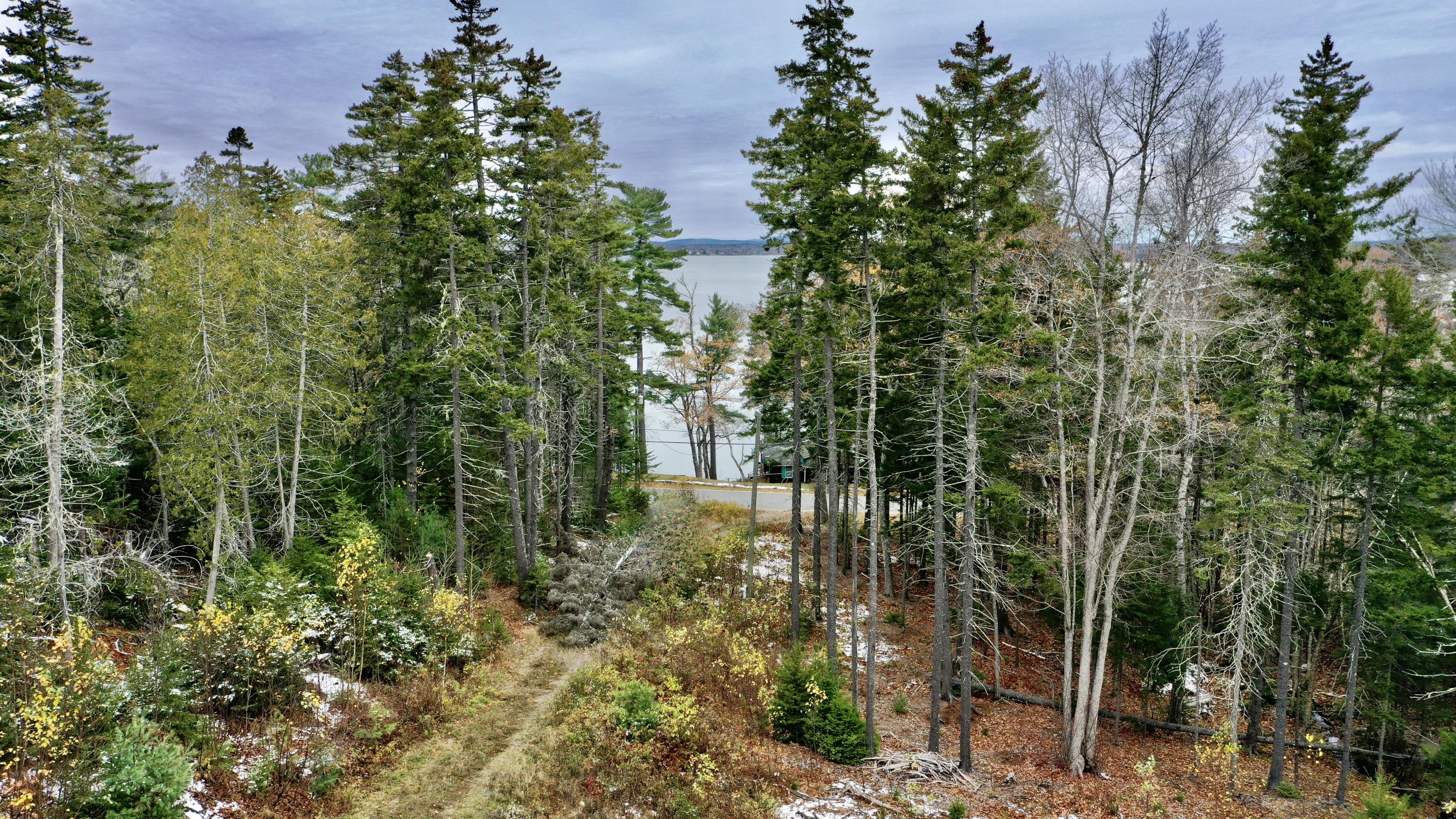176 Cape Rosier Road Harborside, ME 04642 - Photo 4 of 16 176 Cape Rosier Road, Brooksville