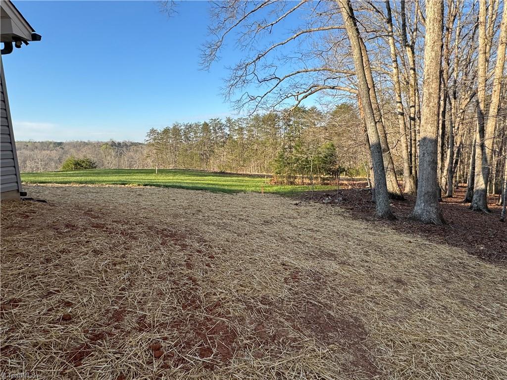 586 Culler Road Pinnacle, NC 27043 - Photo 11 of 46