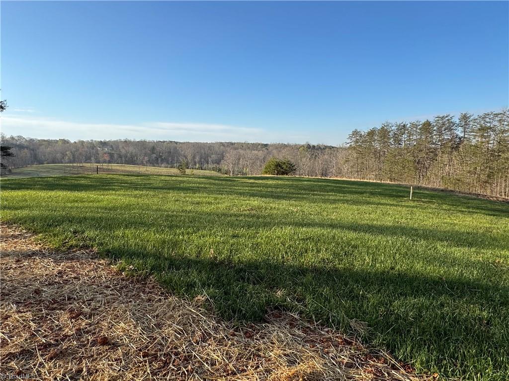 586 Culler Road Pinnacle, NC 27043 - Photo 8 of 46 Views from Back porch