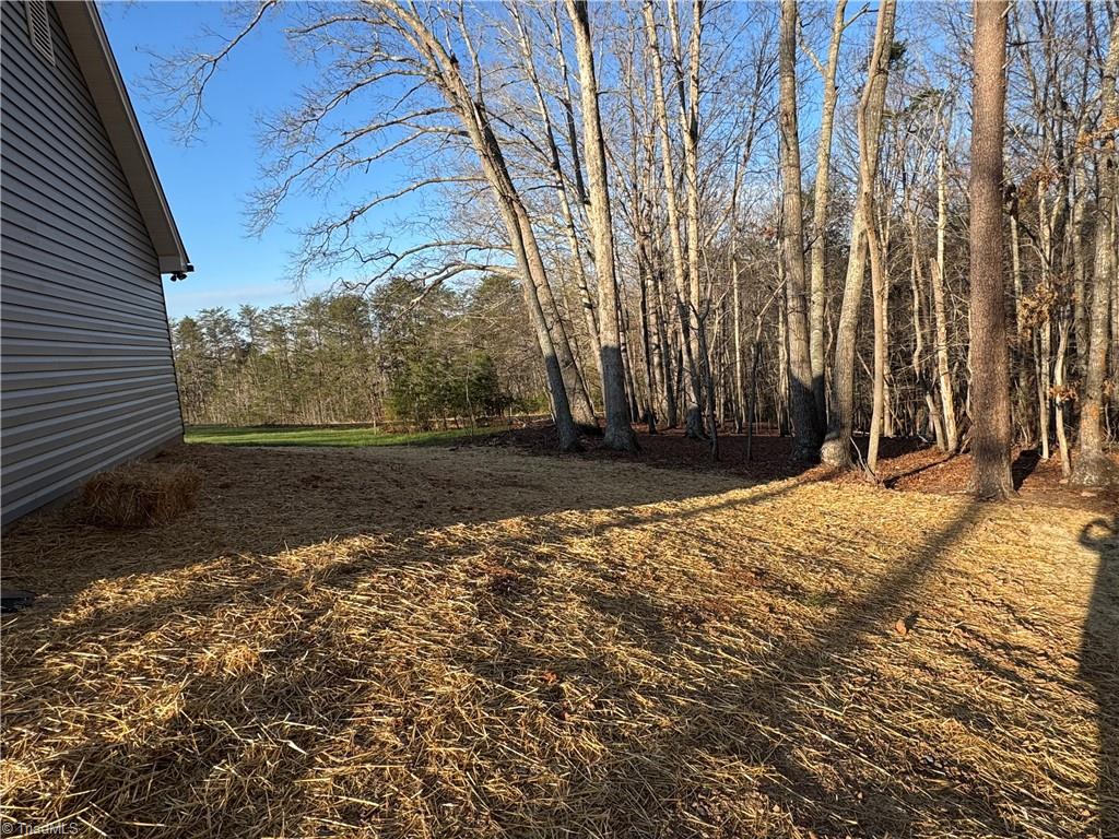 586 Culler Road Pinnacle, NC 27043 - Photo 10 of 46