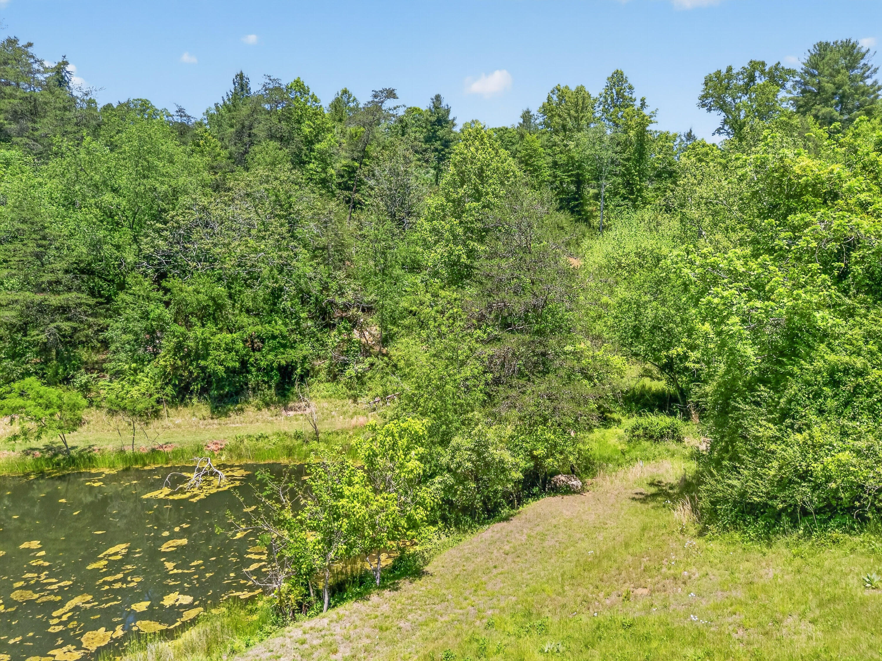 Lot 30 River Rock Road Vinton, VA 24179 - Photo 45 of 49 Vinton-53