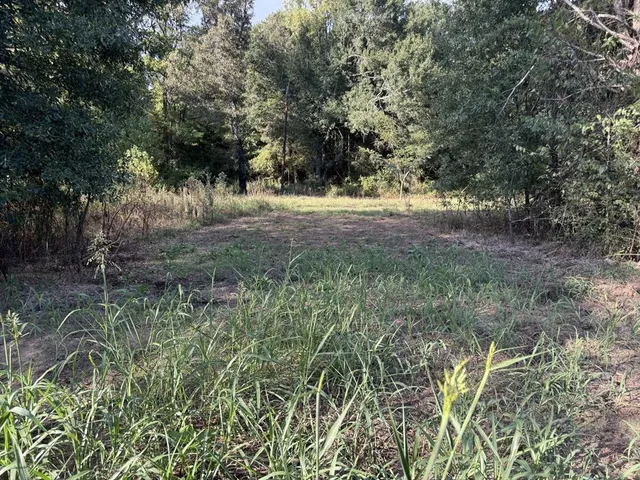 a view of outdoor space and trees all around