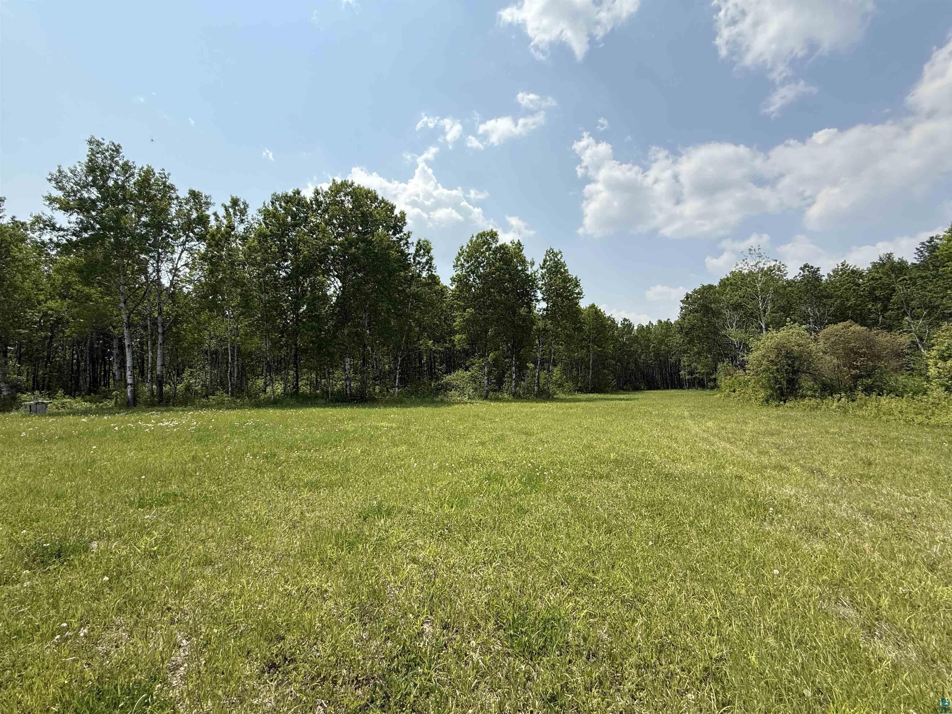 Tbd Samuelson Road Angora, MN 55703 - Photo 32 of 43 View of green lawn featuring a forest view