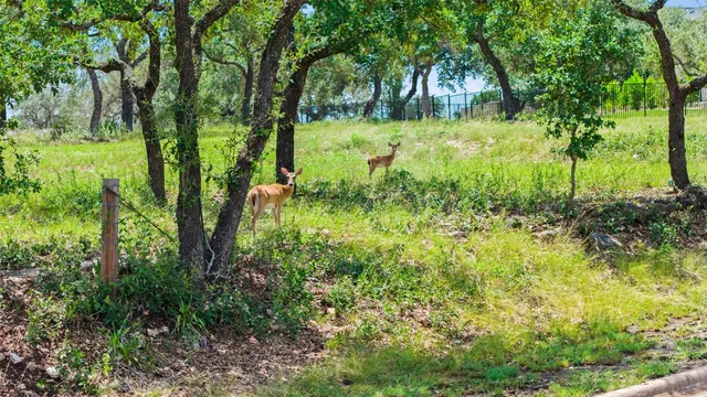 $189,000 | 25516 Kahala Sunset Court, Spicewood, TX 78669