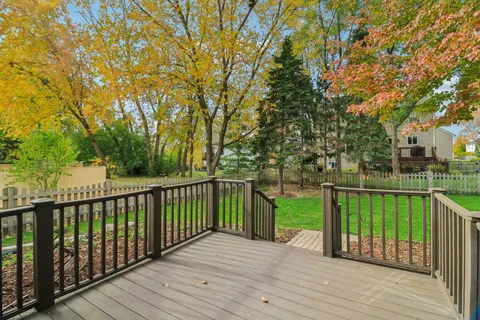 a view of a deck with a large trees