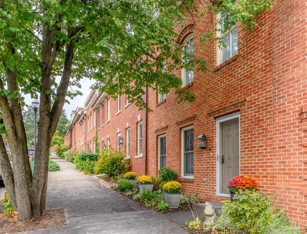 a front view of a house with plants and trees