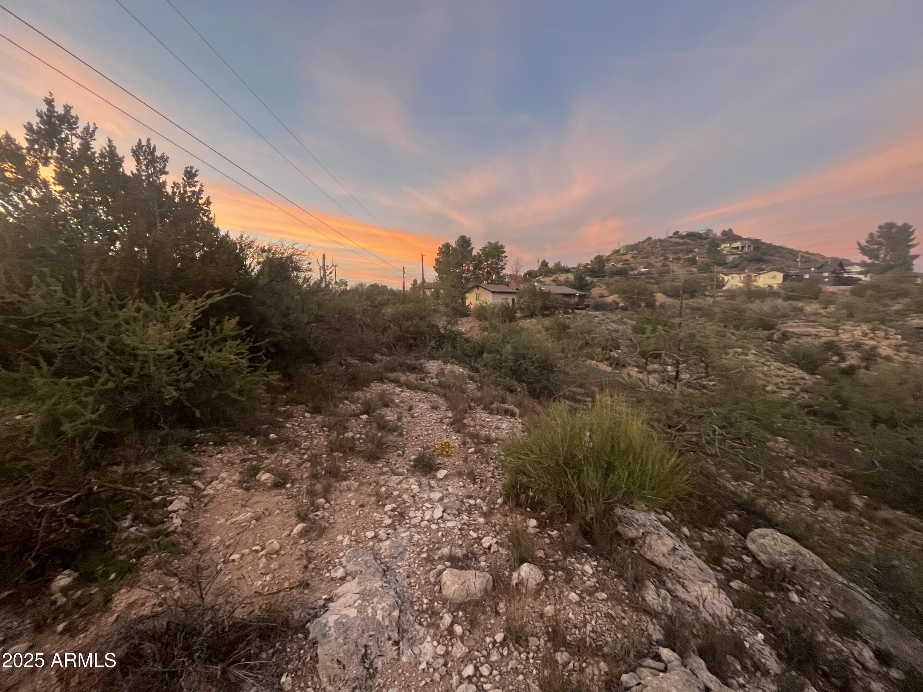 a view of a forest with a mountain in the background