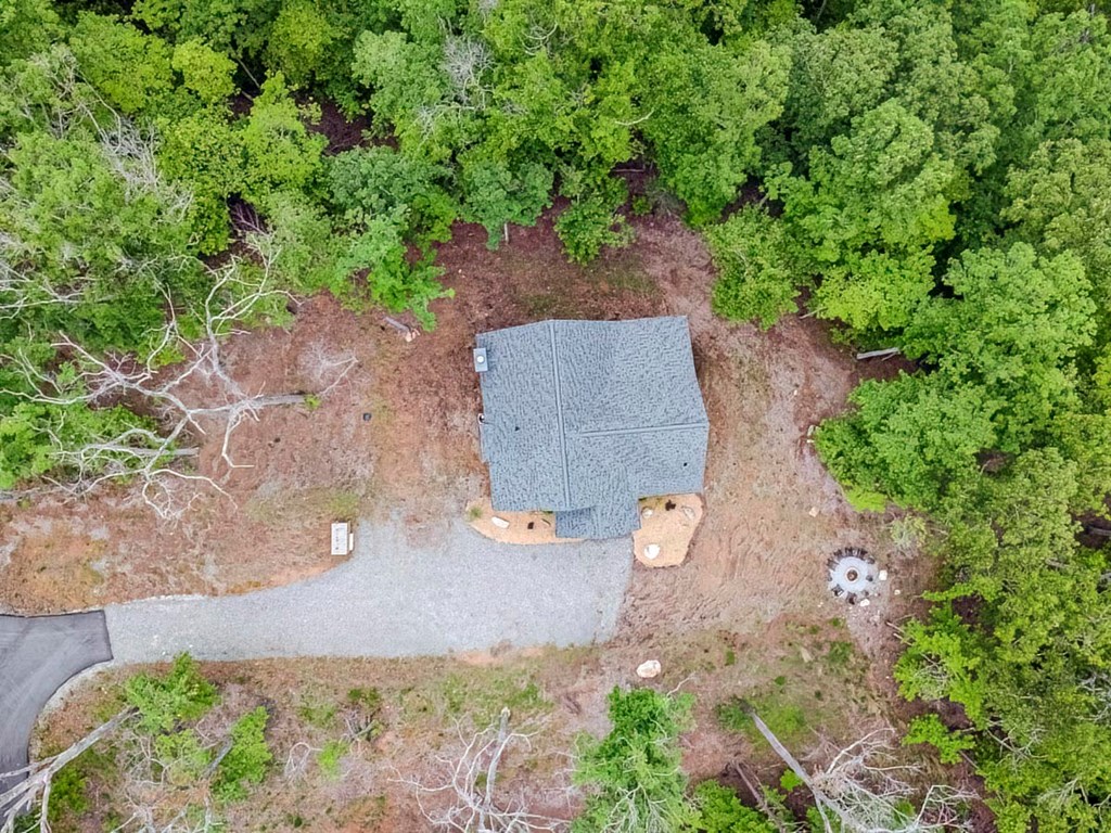 1085 Dills Road Blue Ridge, GA 30513 - Photo 49 of 54 Gallery Image 49
