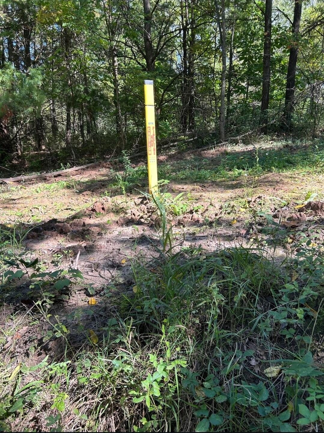 Polp Centerline Road Newaygo, MI 49337 - Photo 2 of 4 85227