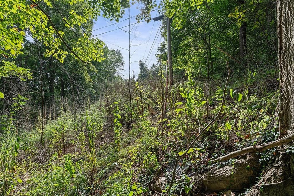 151 Ridge Road Darlington, PA 16115 - Photo 7 of 9 a view of a garden