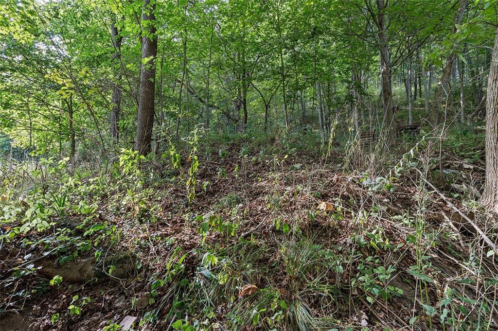 151 Ridge Road Darlington, PA 16115 - Photo 8 of 9 a view of a lush green forest