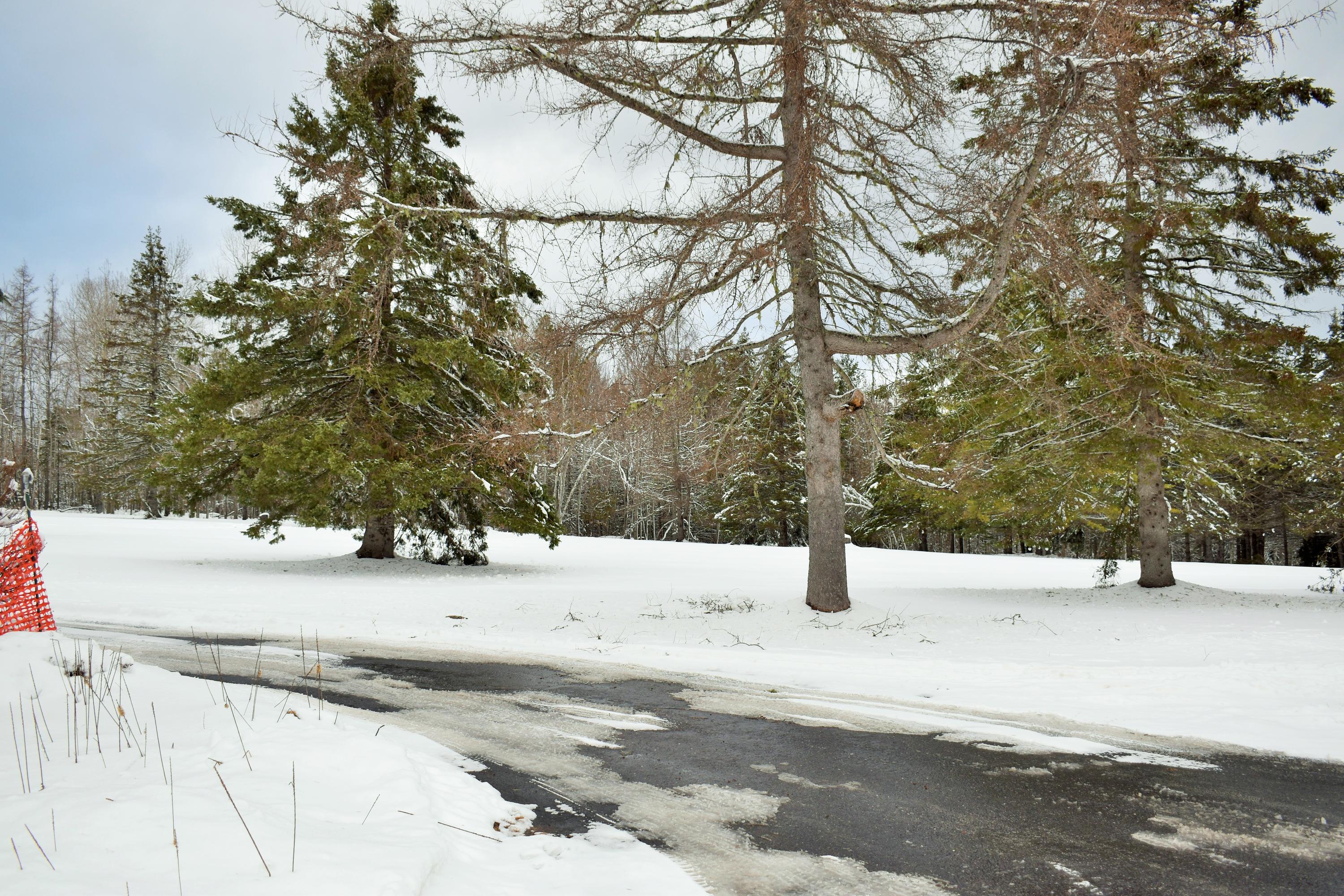 231 Downs Road Sebec, ME 04481 - Photo 75 of 82 73
