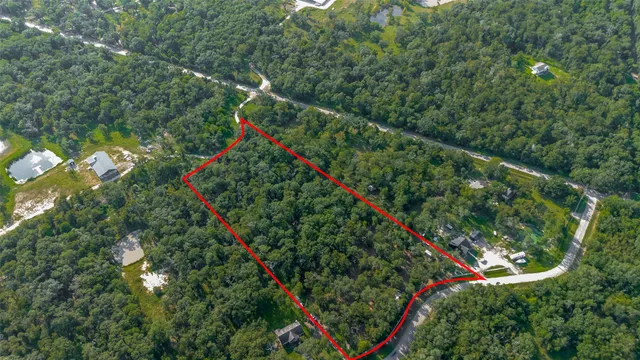 a view of a park with large trees