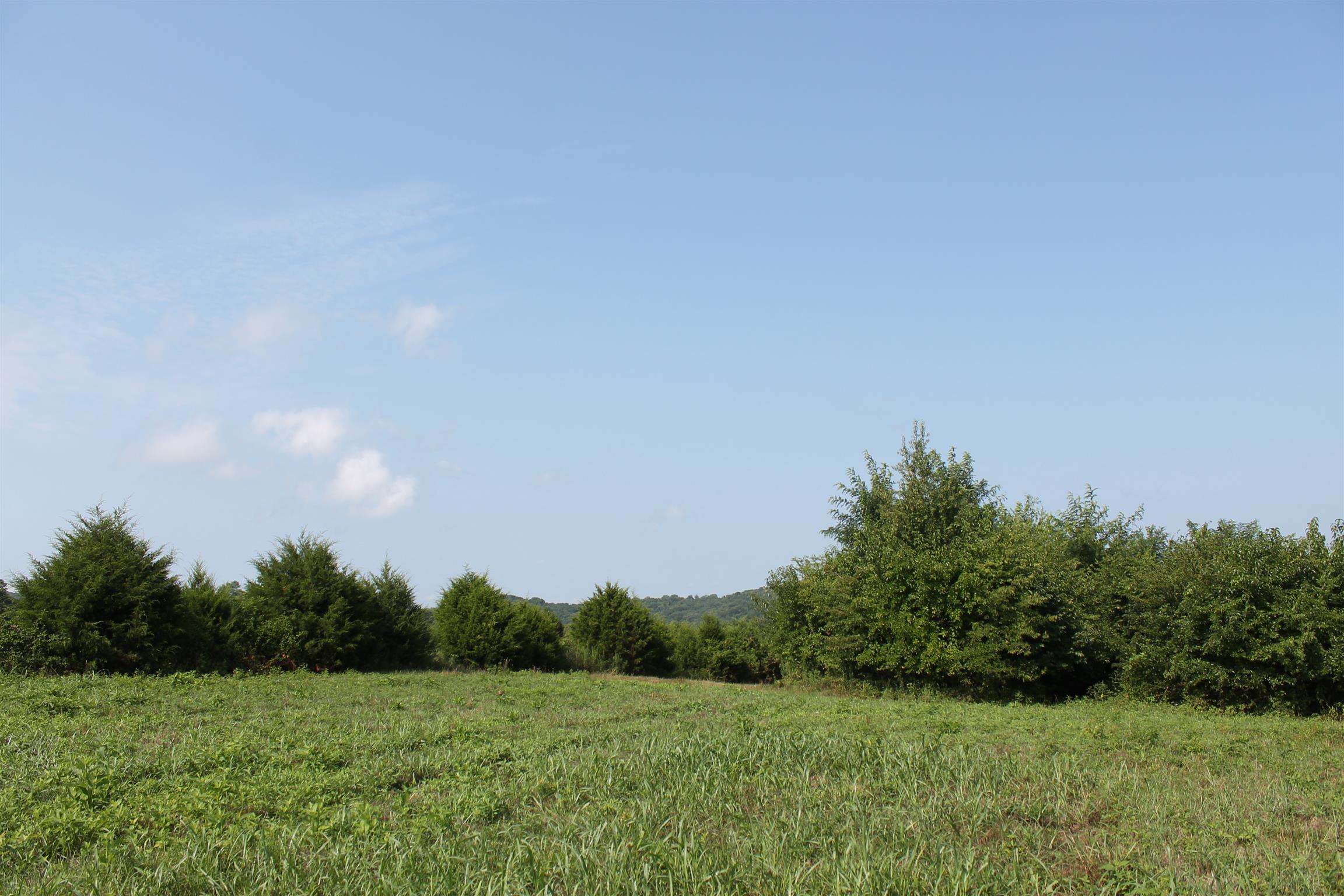 1183 Rocky Valley Road Lebanon, TN 37090 - Photo 3 of 5 a view of a grassy field with trees in the background