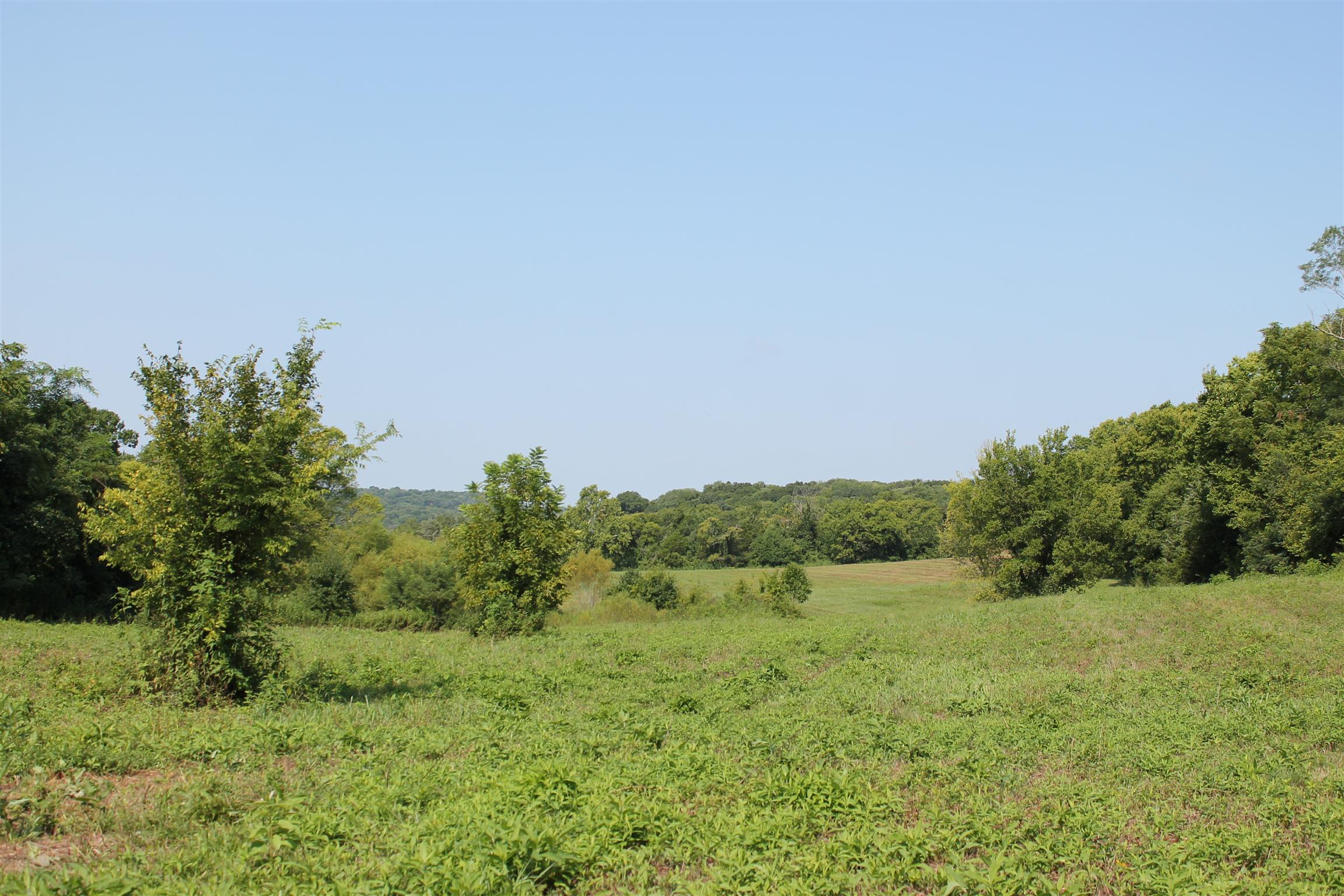 1183 Rocky Valley Road Lebanon, TN 37090 - Photo 4 of 5 a view of a field with plants and trees in the background
