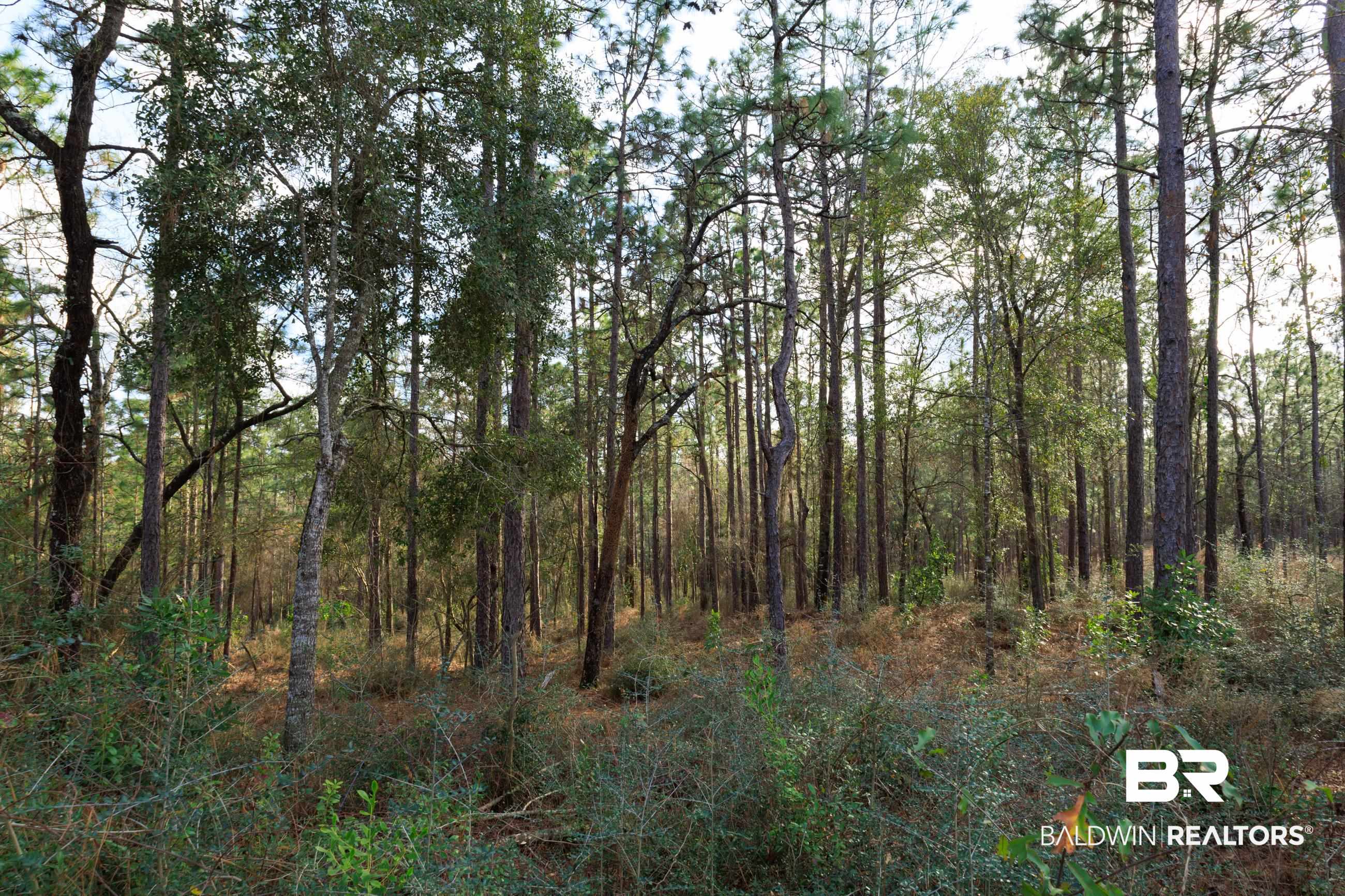 0 Bromley Road Daphne, AL 36527 - Photo 14 of 16