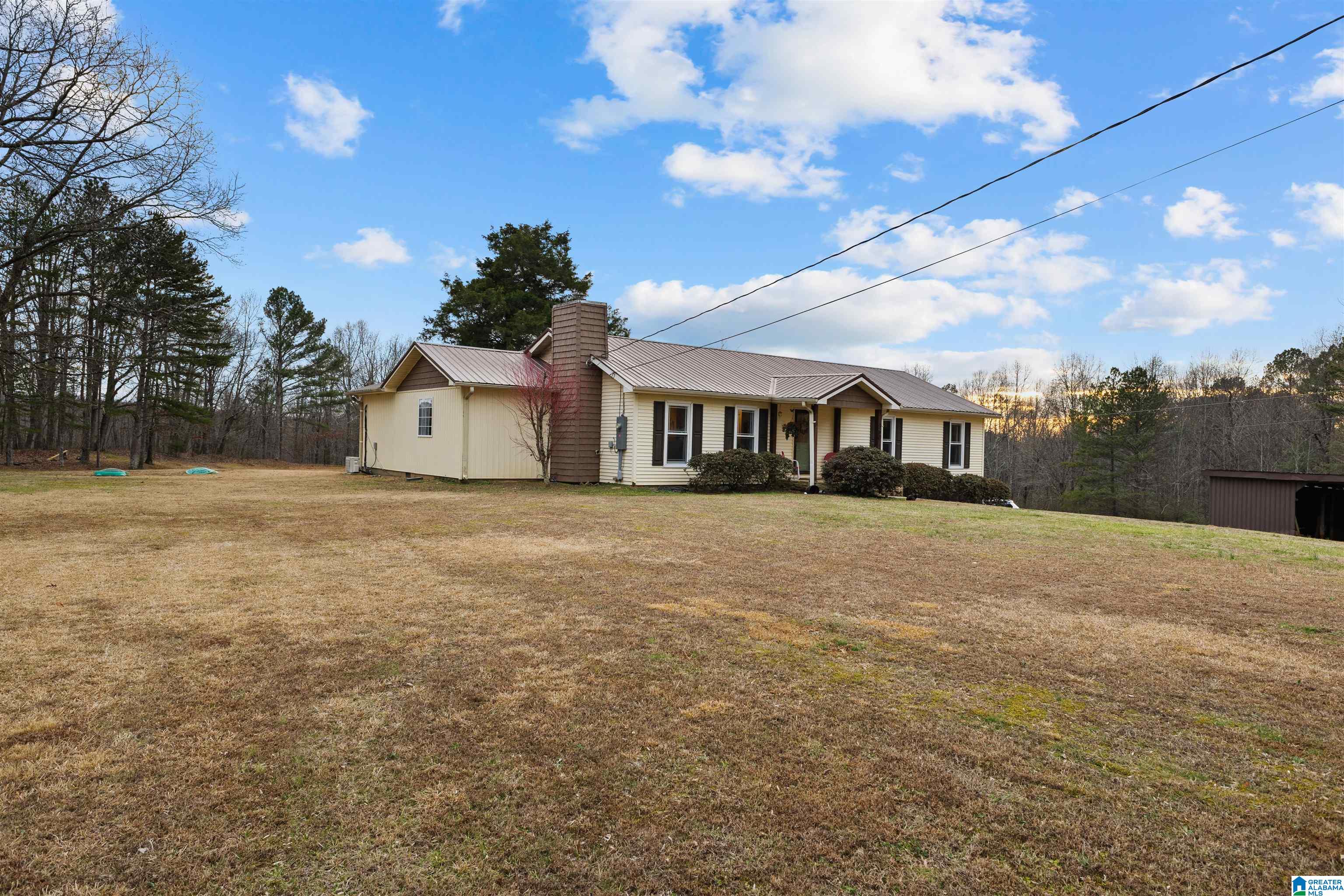 560 Phillips Drive Oneonta, AL 35121 - Photo 6 of 50