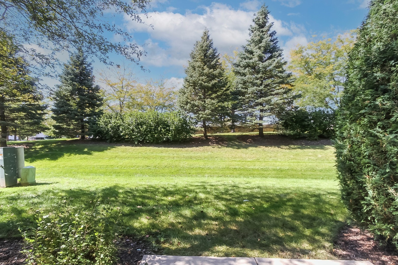 112 Durango Drive Gilberts, IL 60136 - Photo 24 of 24 a view of a yard with a trees