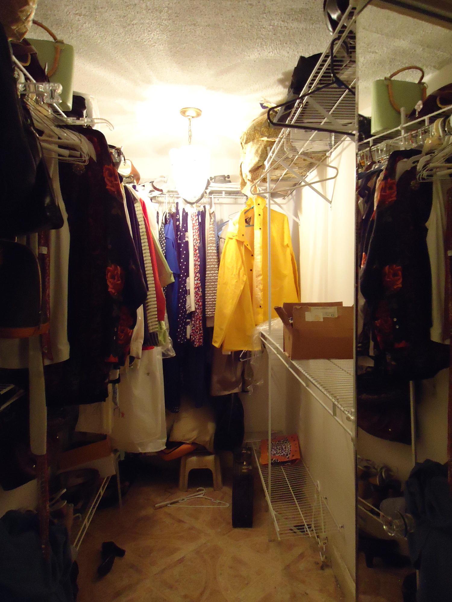 5051 Buchanan Road Delray Beach, FL 33484 - Photo 14 of 32 Walk in Closet