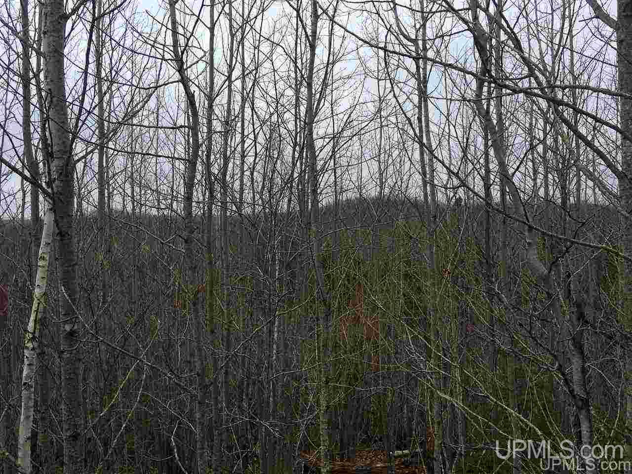 Off Off Co Road Republic, MI 49879 - Photo 4 of 9