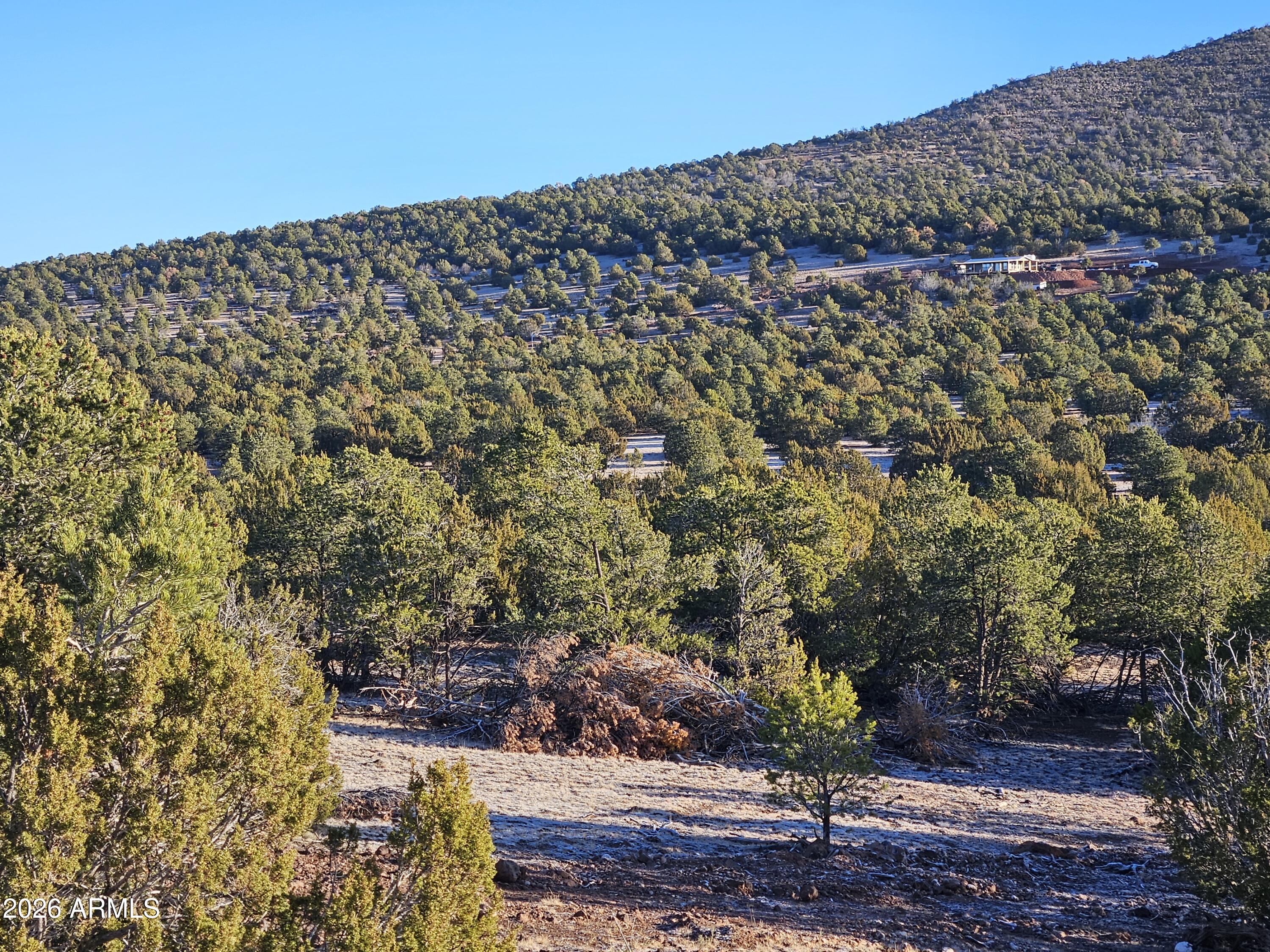 1760 West Honeysuckle Road, Unit 5 Williams, AZ 86046 - Photo 5 of 20