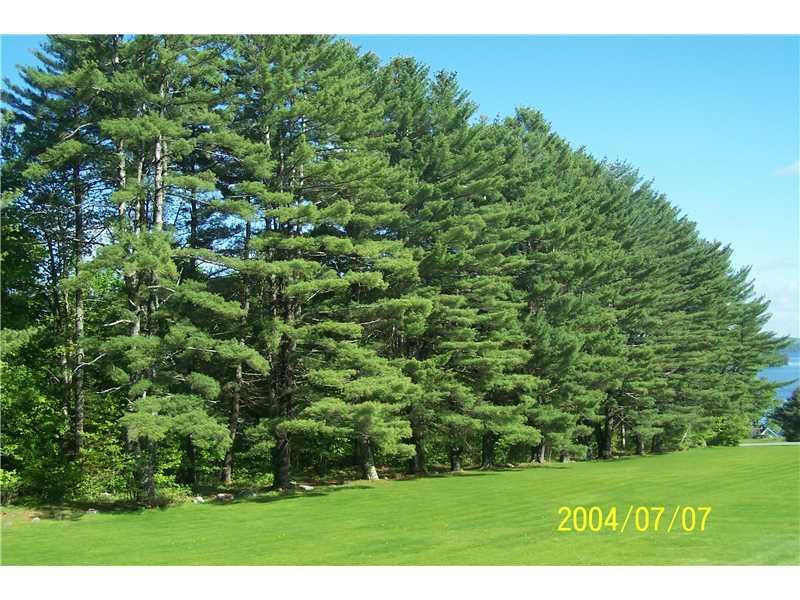 1002 Watson Pond Road Rome, ME 04963 - Photo 28 of 31 Land/Lot.