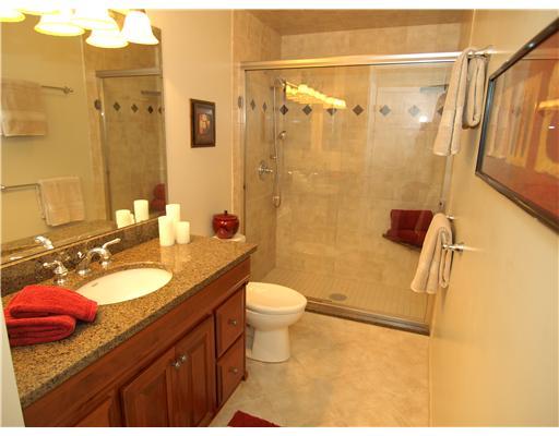 3082 East Bardonner Road Gibsonia, PA 15044 - Photo 12 of 18 Master Bath/Spa.