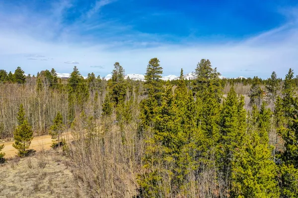 $127,000 | 414 Wheat Way, Fairplay, CO 80440