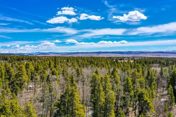 $127,000 | 414 Wheat Way, Fairplay, CO 80440