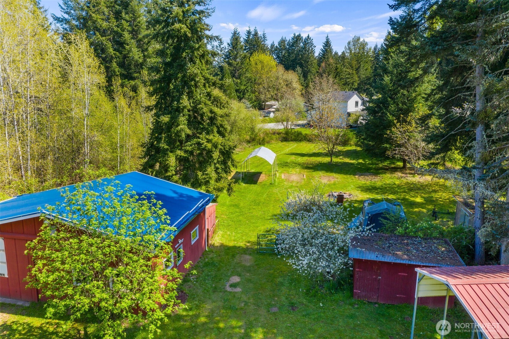958 Tipsoo Loop South Rainier, WA 98576 - Photo 5 of 38
