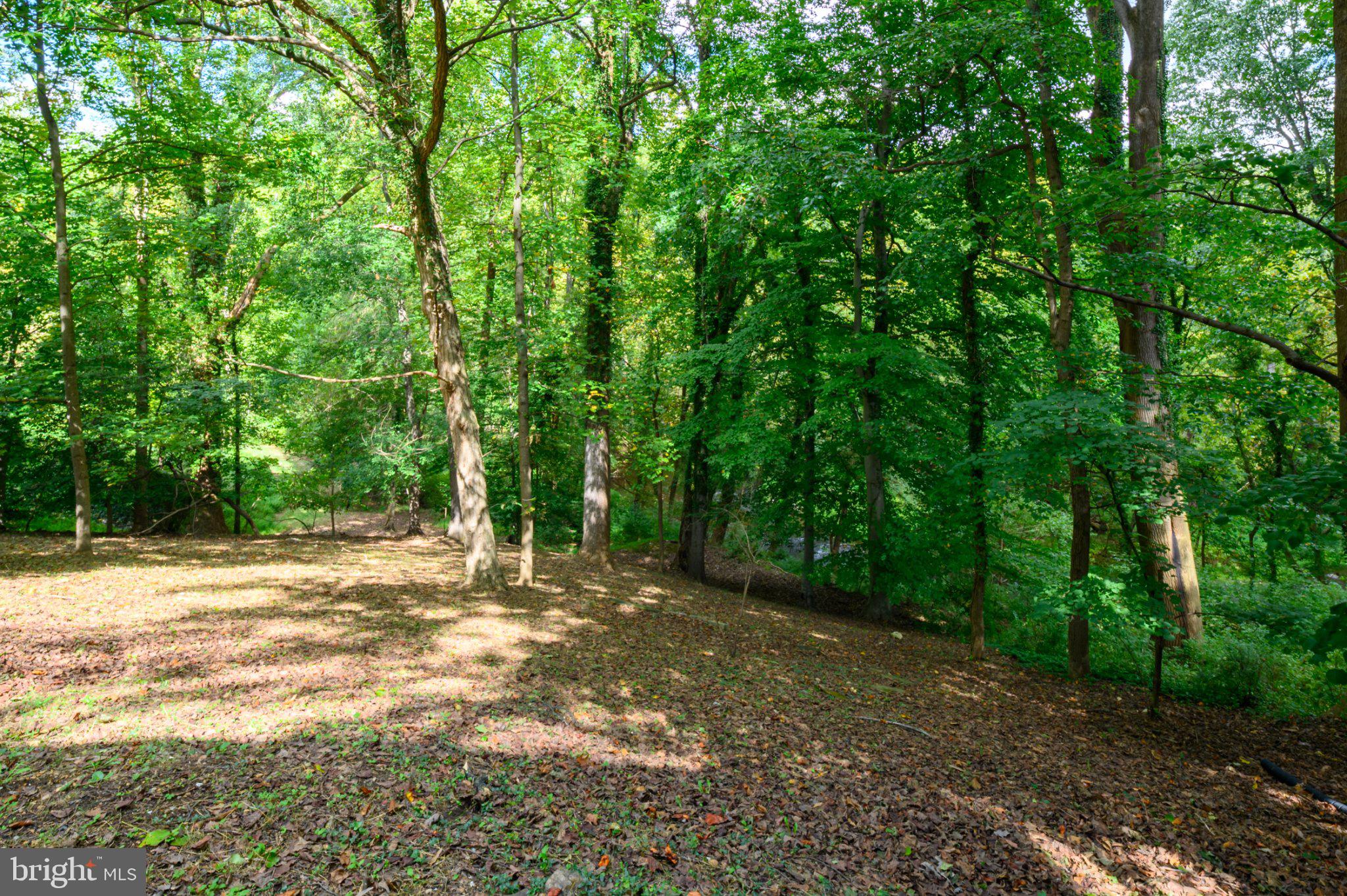 211 Patuxent Road Laurel, MD 20707 - Photo 44 of 46 Backyard