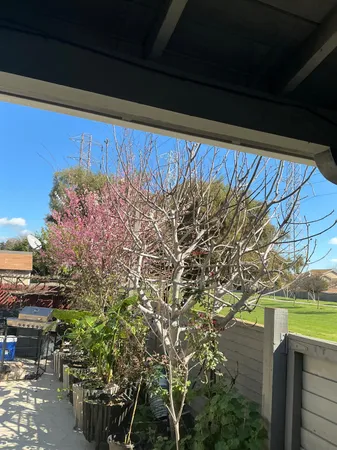 $525,000 | 4210 Pissarro Drive, Stockton, CA 95206