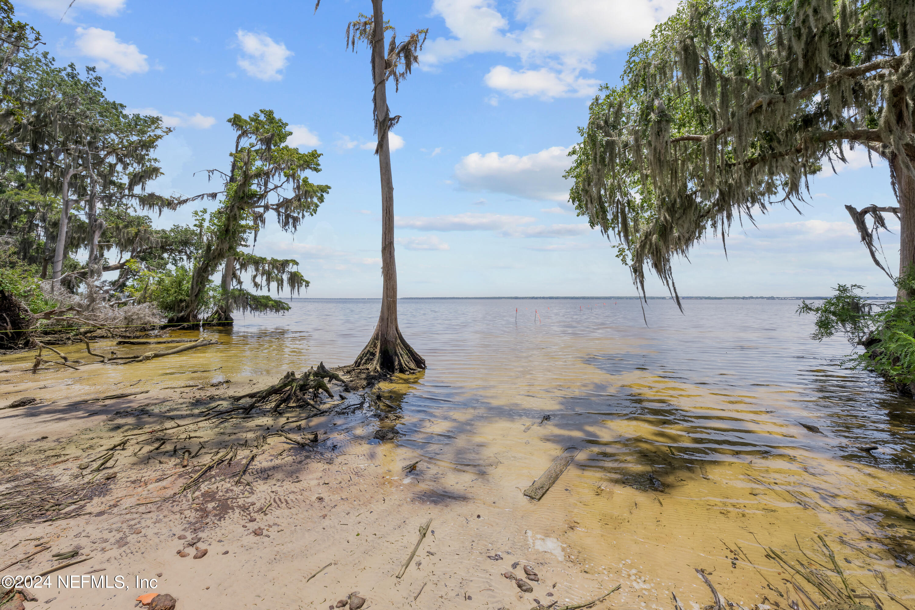 23 Oak Pk Drive St. Johns, FL 32259 - Photo 62 of 72 a view of a backyard of a house