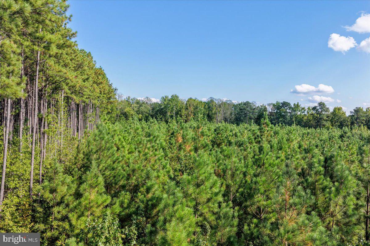 Lot 7-8 County Pond Road Freeman, VA 23856 - Photo 15 of 19 Gallery Image 15