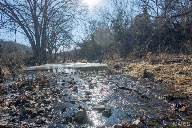 $1 | 12328 Top Ozark Road, Belgrade, MO 63622