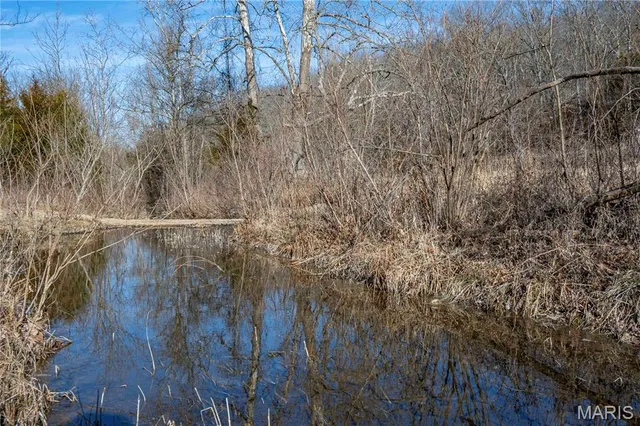 $1 | 12328 Top Ozark Road, Belgrade, MO 63622