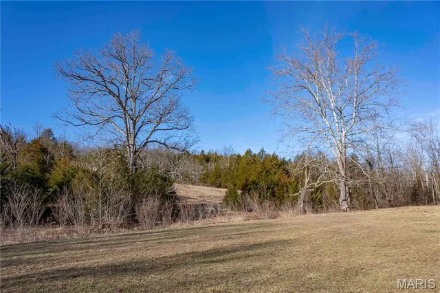 $1 | 12328 Top Ozark Road, Belgrade, MO 63622