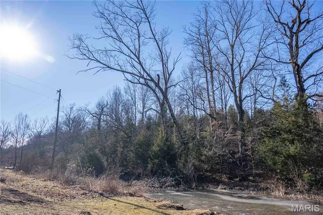 $1 | 12328 Top Ozark Road, Belgrade, MO 63622