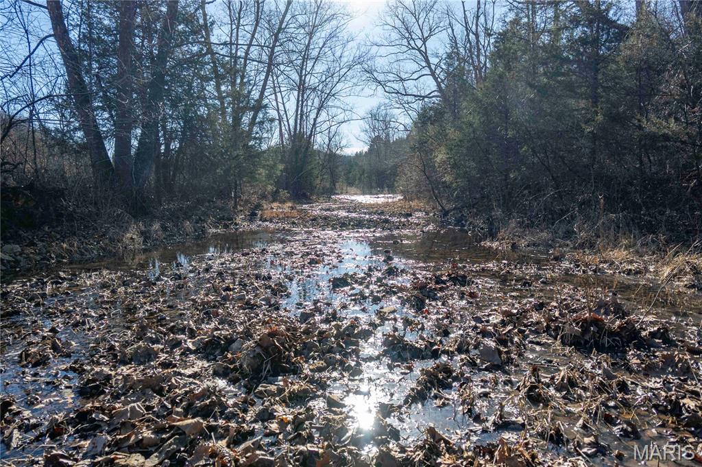 12328 Top Ozark Road Belgrade, MO 63622 - Photo 38 of 81
