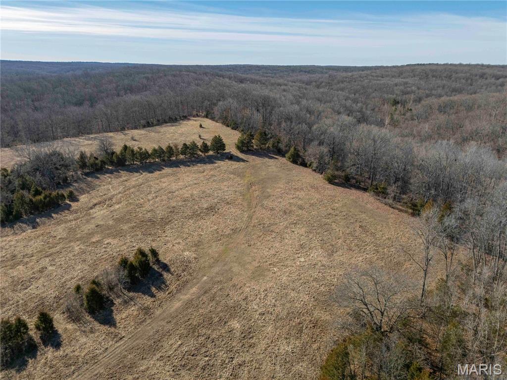 12328 Top Ozark Road Belgrade, MO 63622 - Photo 41 of 81