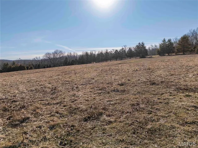 $1 | 12328 Top Ozark Road, Belgrade, MO 63622